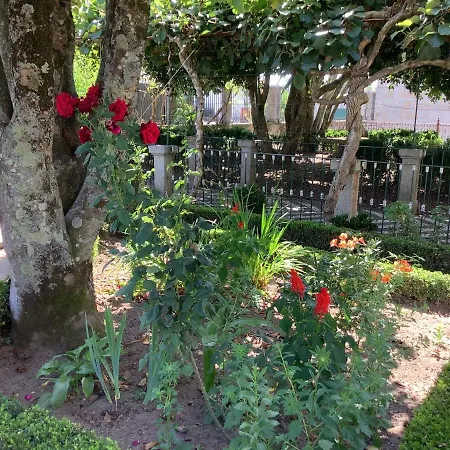 Casa Camelias *