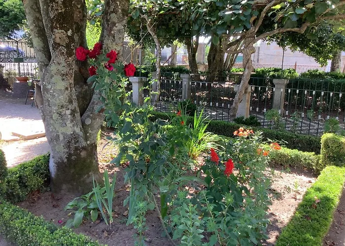 Casa Camelias *